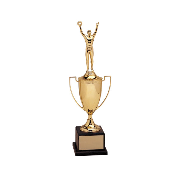 Awards